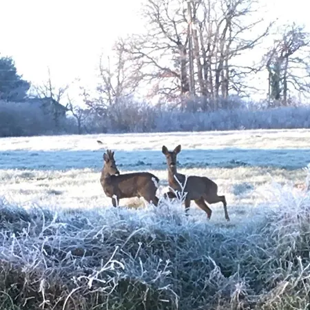 Les Roses Casa vacanze *
